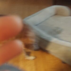 TH Blue Ankle Boot, Size 8.5